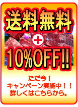 ����̵����10��OFF�����ڡ���